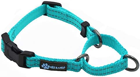  Max And Neo Nylon Martingale Collar - We Donate A Collar To A Dog Rescue For Every Collar Sold (Medium, Teal)