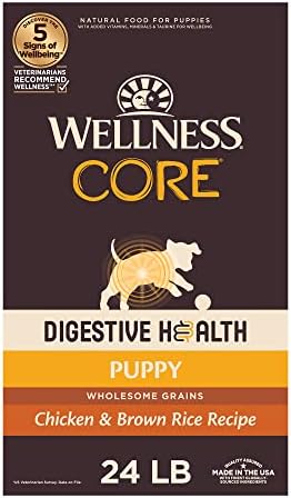  Wellness CORE Digestive Health Dry Senior Food With Wholesome Grains, Advanced Age For Dogs Over 7-Years Old, For Dogs With Sensitive Stomachs, Made In USA With Real Chicken (Senior, 24-Pound Bag)
