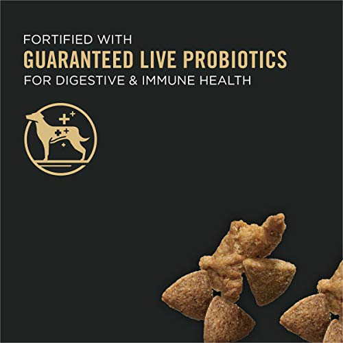  Purina Pro Plan High Protein Dog Food With Probiotics For Dogs, Shredded Blend Turkey & Rice Formula - 17 Lb. Bag