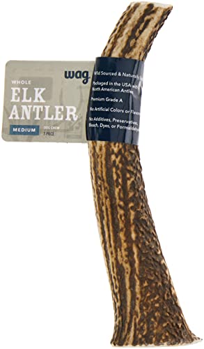  Amazon Brand - Wag Dog Elk Antler Chew, Naturally Shed, Whole, Medium 6-7.5 Inches (Best For Dogs 15-30 Lbs)