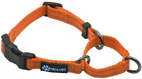  Max And Neo Nylon Martingale Collar - We Donate A Collar To A Dog Rescue For Every Collar Sold (Medium, Teal)