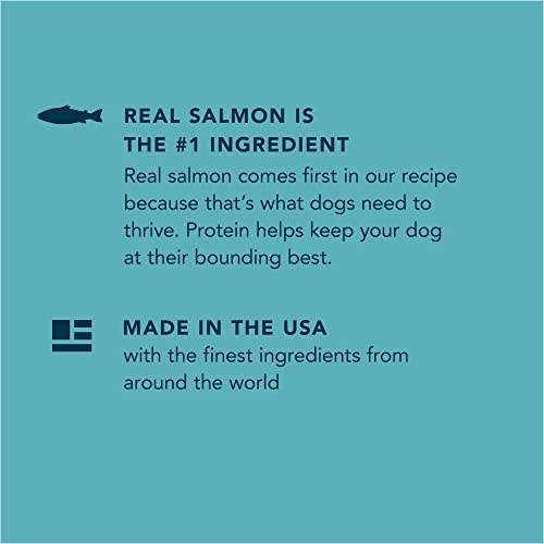  Amazon Brand – Wag Dry Dog Food, Salmon And Brown Rice, 5 Lb Bag (Packaging May Vary)
