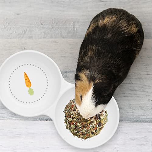  Navaris Double Food Bowl For Small Animals - Ceramic Food Bowls For Rabbits, Guinea Pigs, Small Pets - Rabbit Water Dish - Carrot And Grass Design