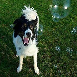  Roasted Chicken And Peanut Butter Scented Bubbles - 2 Pack - 8 Oz Each - 100% Non Toxic And Tear Free
