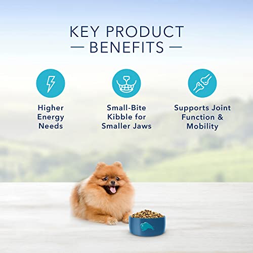  Blue Buffalo Life Protection Formula Natural Adult Toy Breed Dry Dog Food, Chicken And Brown Rice 4-lb