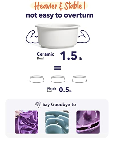  LE TAUCI PET Ceramic Dog Bowl, 2.6 Cups Dog Water Bowl, Weighted Dog Food Bowl Dish For Small Medium Breed, Fit For Dog Bowl Stand With Hole Opening Between 5.75" - 6.25"