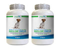  Dog Healthy Coat Supplement - Dog Hair And Coat Health Complex - Healthy Skin And Nails - Itch Relief - Powerful - Vitamin C For Dogs Chewable - 120 Treats (2 Bottles)