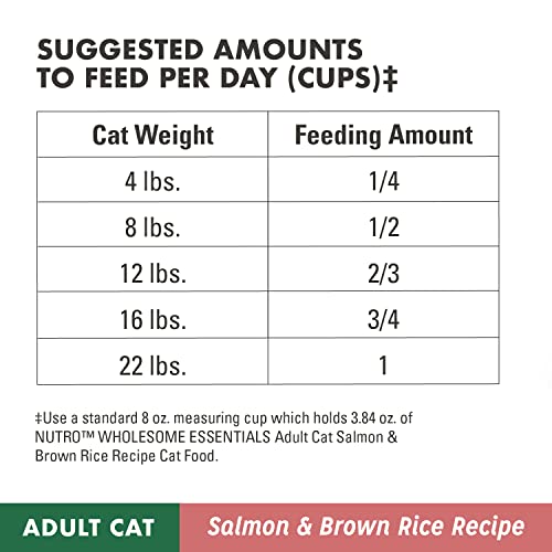  NUTRO WHOLESOME ESSENTIALS Adult Natural Dry Cat Food Salmon & Brown Rice Recipe, 14 Lb. Bag