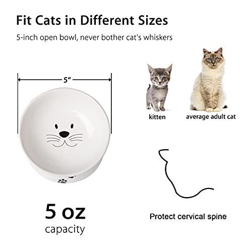  Cat Food Bowls, 10 OZ Elevated Cat Bowls For Cats And Small Dogs, Tilted Pet Feeder Bowl With Raised Stand Protect Cat's Spine, Ceramic Cat Water Bowl No-Spill, Stress Free Cat Dish 2pcs