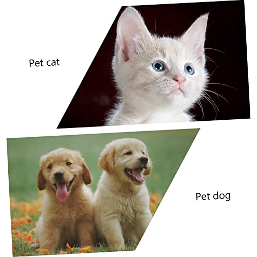  VILLCASE Funny Cat Toy Toys For Dogs Small Cat Toys Kitten Toys Interactive Cat Ferris Wheel Cat Food Dispenser Pet Windmill Toy Pet Feeding Toy Pet Food Dispenser Cat Feeding Toy