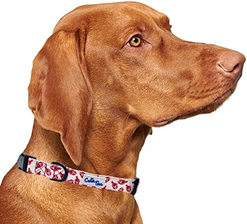  CUTIE TIES Dog Collar Breakfast Club – Durable Nylon Material - Premium Quality Collars For Dogs - Cute Dog Collars In Three Sizes (Breakfast Club, Medium (13" - 20"))