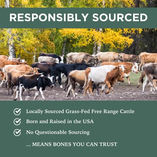  K9 Connoisseur Single Ingredient Dog Bones Made In USA Natural Marrow Filled Dynamo Bone Chew Treats For Small To Medium Breed Aggressive Chewers Dogs - Best Up To 50 Pounds 6 Pack