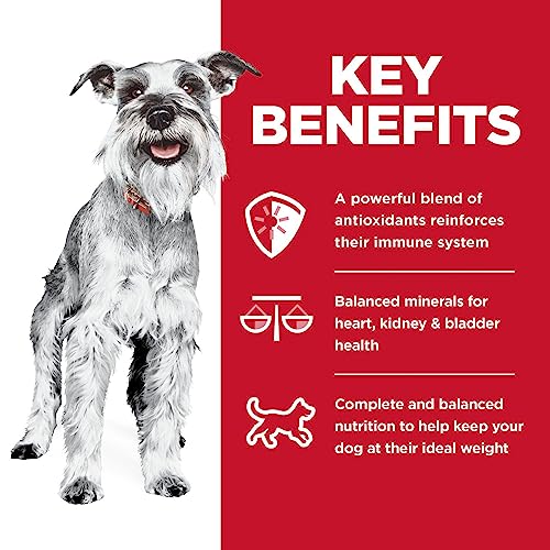  Hill's Science Diet Dry Dog Food, Adult 7+ For Senior Dogs, Small Paws For Small Breeds, Chicken Meal, Barley & Brown Rice Recipe, 4.5 Lb. Bag