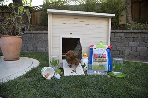  New Age Pet 7 Piece Chicken Accessory Kit
