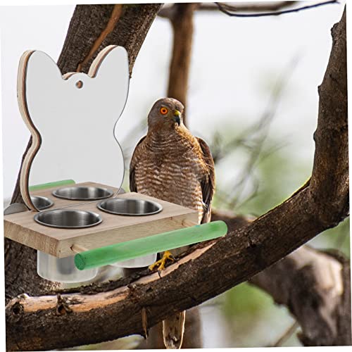  EVANEM 2 Pcs Food Cup Parakeet Perch Squirrel Feeders Comida Para Periquitos Bird Feeder With Mirror Bird Feeding Dish Cups Bird Hanging Water Feeder Bird Grinding Perch Parrot Feeder Pet (Color : As