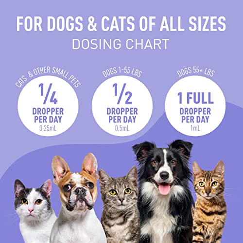  Nature's Synergy Melatonin And Hemp Oil For Dogs, Cats & Pets, Calming Sleep Support, Omega Fatty Acids For Hip And Joint Support, Skin And Coat Health, Stress From Travel, Separation, 2 Pack, 1 Oz