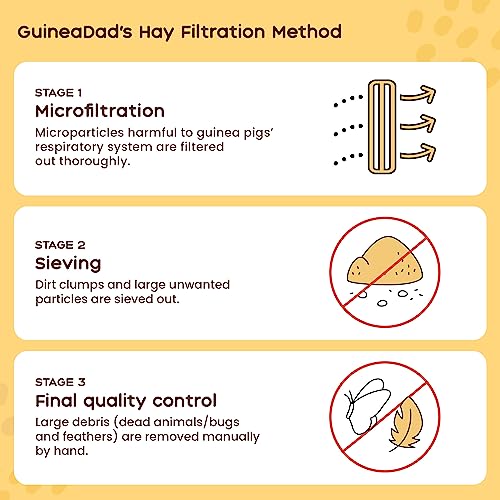  GuineaDad Timothy Hay Bar - Guinea Pig Food - 5 Pack - Pet Food For Rabbits, Small Animals, Hamster Food - Filtered & Hand Packed Guinea Pig Hay - Keeps Hay Secure And Encourages Active Eating