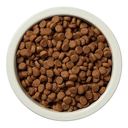  Amazon Brand – Wag Dry Dog Food, Lamb And Brown Rice, 5 Lb Bag