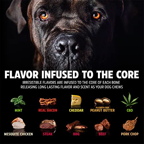 Glade® Pet Qwerks Zombie BarkBone - Nylon Dog Bone For Moderate Chewers - Bacon Flavor - 9.5"