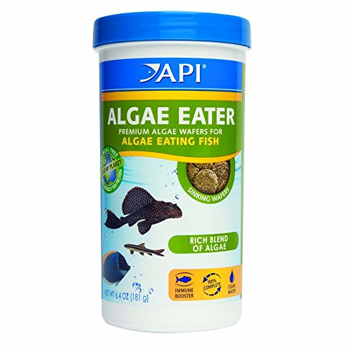  (2 Pack) API Algae Eater Alage Wafer, 6.4-Ounce Jars