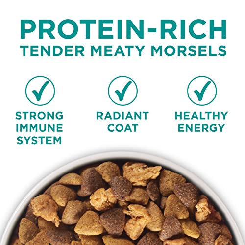  Purina One Plus Digestive Health Formula Dry Dog Food Natural With Added Vitamins, Minerals And Nutrients - 31.1 Lb. Bag