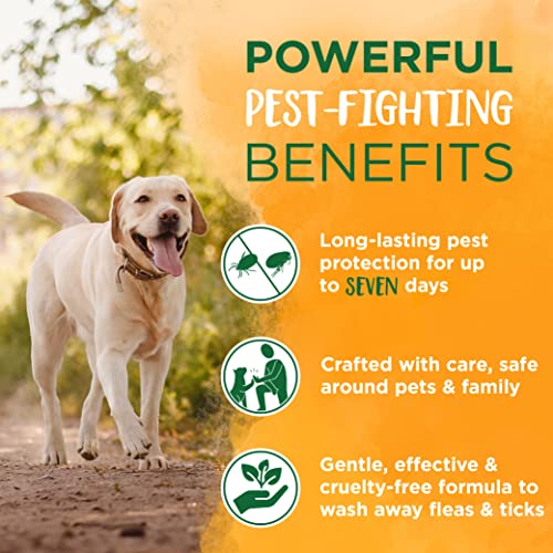  TropiClean Maximum Strength Natural Flea And Tick Dog Shampoo, Natural Flea And Tick Prevention For Dogs, Made In The USA, 20oz