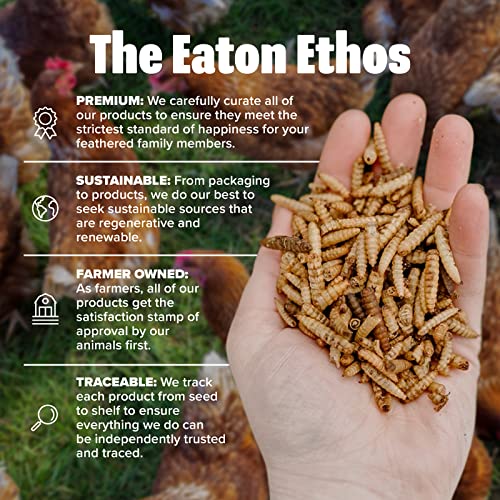  Eaton Pet & Pasture Premium Grubs, USA Black Soldier Fly Larvae, More Nutritious Than Mealworms, 50x Calcium, Chicken Treats, Sustainable & All-Natural Grubs For Chickens, Hens, Birds, Ducks, 1 LB