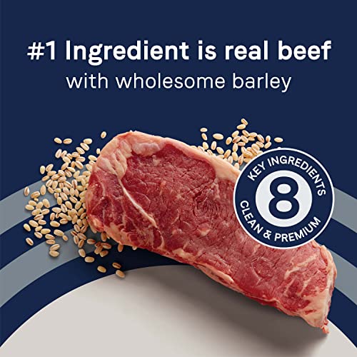  CANIDAE Pure Real Beef & Barley Recipe Adult Dry Dog 4 LB