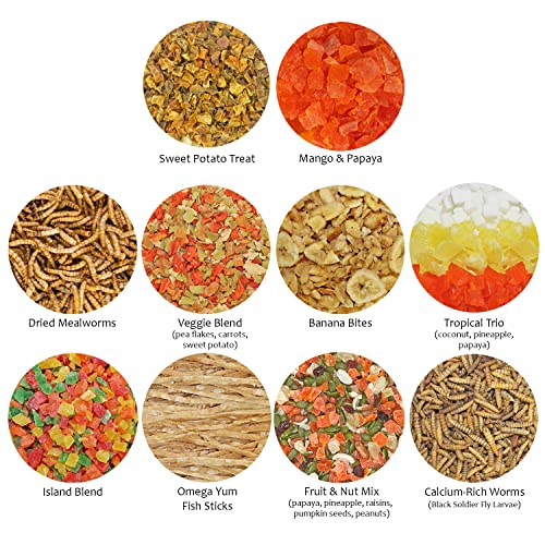  Treat Assortment 10 Pack - Healthy Treat With Mix Of Dried Fruits, Dried Insects, & Crunchies - Sugar Gliders, Rats, Chinchillas, Parrots, Guinea Pigs, Hamsters, Small Animals - Sample Variety