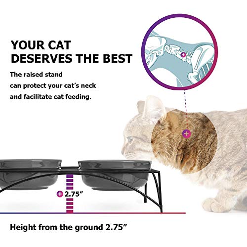  Y YHY Cat Food Bowls, Elevated Cat Bowls, Raised Pet Food Water Bowls With Stand, Ceramic Pet Bowls For Cat Or Dogs, 12 Ounces Cat Dishes, Grey