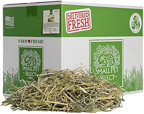  Small Pet Select 1st Cut Timothy Hay Pet Food For Rabbits, Guinea Pigs, And Other Small Animals, Easy To Store Box, 20 LB