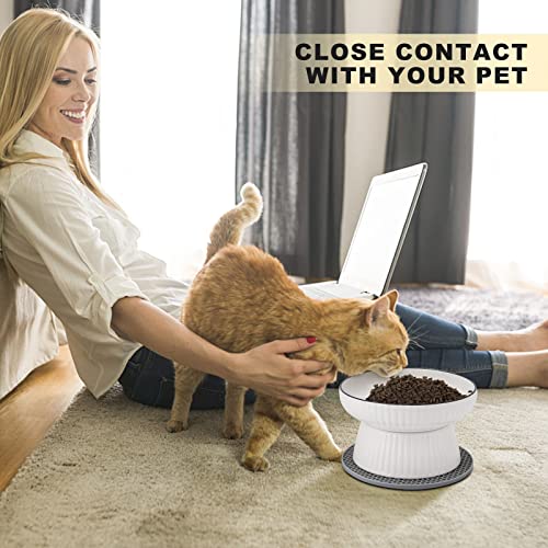  Large Elevated Cat Food Bowl,Raised Dog Bowl,Ceramic Raised Deep Water Bowl For Cats & Dogs,Stress Free Food Feeding Dish,Whisker Fatigue,Anti Vomiting,Non Tipping (Fishbone)