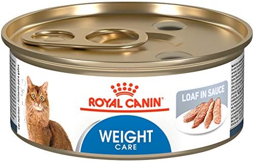 Royal Canin Feline Weight Care Thin Slices In Gravy Canned Adult Wet Cat Food, 3 Oz Cans 24-count