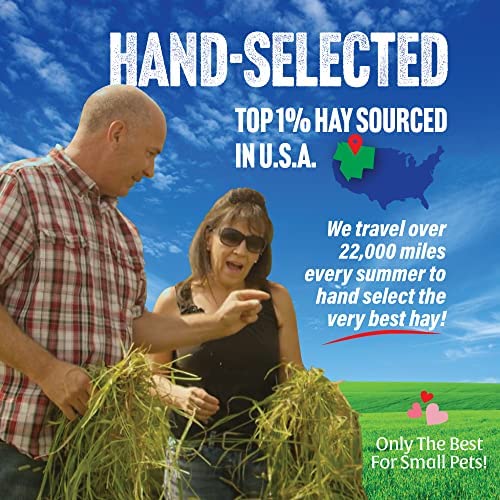  Small Pet Select Oat Hay Pet Food, 10 Lb.