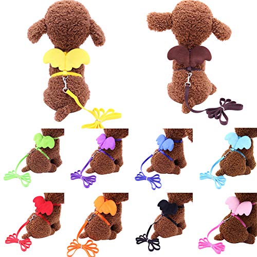  XxiaoTHAWxe Pet Leash Traction Rope, Cute Solid Color Mini Wings Nylon Pet Harness Chest Strap Dog Cat Lead Leash For Walking Training Running - Coffee XS