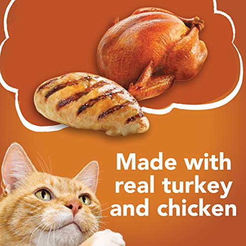  Purina Friskies Gravy Wet Cat Food Variety Pack, TurChicken Extra Gravy Chunky, Meaty Bits & Shreds - (40) 5.5 Oz. Cans