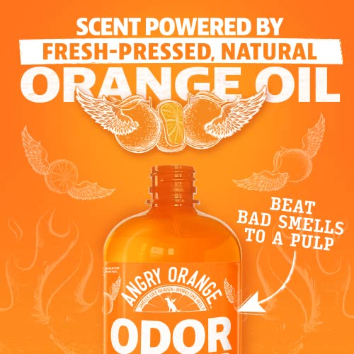  ANGRY ORANGE Pet Odor Eliminator For Strong Odor - Citrus Deodorizer For Strong Dog Or Cat Pee Smells On Carpet, Furniture & Indoor Outdoor Floors - 24 Fluid Ounces - Puppy Supplies