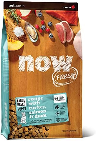  Now Fresh Grain Free Small Breed Dog Food, 3.5 Lb - Dry Puppy Food Recipe - Healthy Diet With Probiotics & Real Meat And Fish For Protein