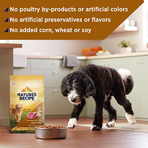  Nature′s Recipe Dry Dog Food, Mature Lamb & Brown Rice Recipe, 24 Lb. Bag