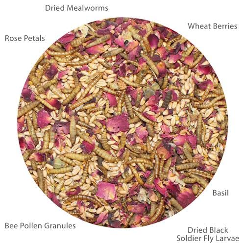  Exotic Nutrition Bee-Tastic - Healthy All-Natural Chicken Treat - Dried Insects, Flowers, Herbs Wheat Berries & Bee Pollen - Promotes Healthy Chickens & Eggs (1.5 Lbs)