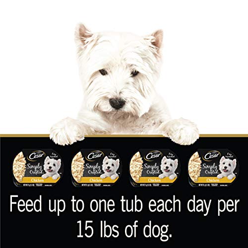  CESAR Simply Crafted Adult Wet Dog Food Meal Topper, Chicken, (10) 1.3 Oz. Tubs