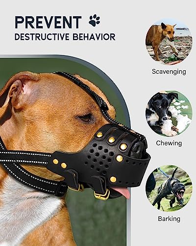  Dog Muzzle Leather, Pitbull Muzzle Amstaff Muzzles Staffordshire Terrier Secure Basket, Breathable And Adjustable Soft Muzzle For Medium Large Breeds Anti Biting Barking Chewing (Black, M)