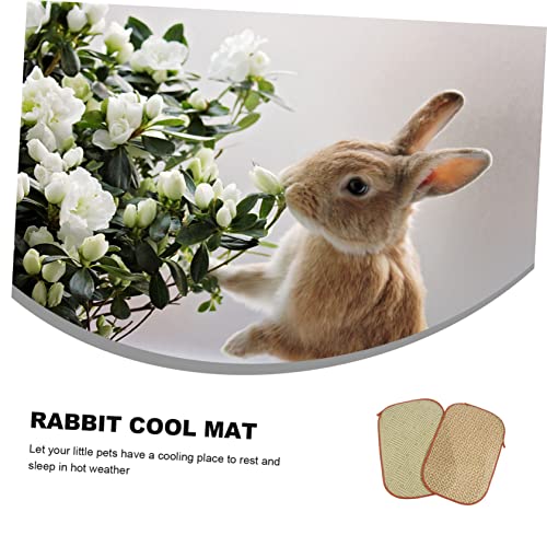  Iplusmile 4 Pcs Rabbit Mat Small Dog Chew Toys Chinchilla Bedding Toys For Kittens Rabbit Bed Cat Summer Mat Pet Bedding Cooling Grass Mat Cool Bed Manual Grass And Vines Chew Toys