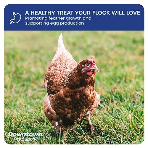  Downtown Pet Supply 2 LB Dried Mealworms For Wild Birds, Poultry, Reptiles, And Small Mammals Rich In Vitamin B12, B5, Protein, Fiber, Omega 3 Fatty Acids - Great As Mealworms For Chicken