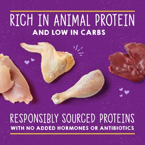  Stella & Chewy’s Carnivore Cravings Savory Shreds Cans – Grain Free, Protein Rich Wet Cat Food – Cage-Free Chicken & Chicken Liver Recipe – (5.2 Ounce Cans, Case Of 24)