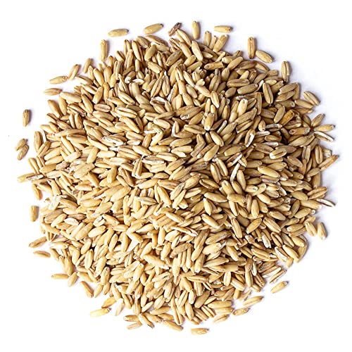  Exotic Nutrition Whole Oats 4 Lb. - Healthy Supplemental Food - Natural Whole Oats For Prairie Dogs, Degus & Chinchillas…