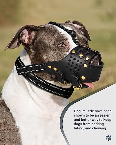  Dog Muzzle Leather, Pitbull Muzzle Amstaff Muzzles Staffordshire Terrier Secure Basket, Breathable And Adjustable Soft Muzzle For Medium Large Breeds Anti Biting Barking Chewing (Black, M)