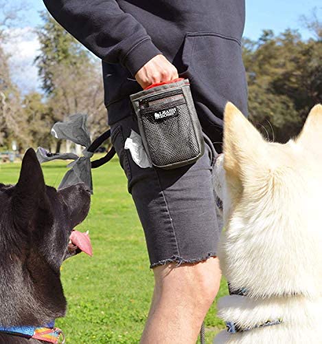  Leashboss Dog Treat Pouch For Training | Training Treat Pouches For Pet Training | Treat Bag For Dog Training | Portable Kibble Snack Container For Pets | Fanny Pack Waist Belt Transport On The Go