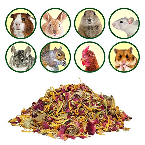  Exotic Nutrition Flower Treat 3 Pack - Healthy Assortment - Hibiscus, Calendula, Rose - For Squirrels, Guinea Pigs, Rabbits, Chinchillas, Prairie Dogs, Degus, Hamster, Gerbils, & Other Herbivores