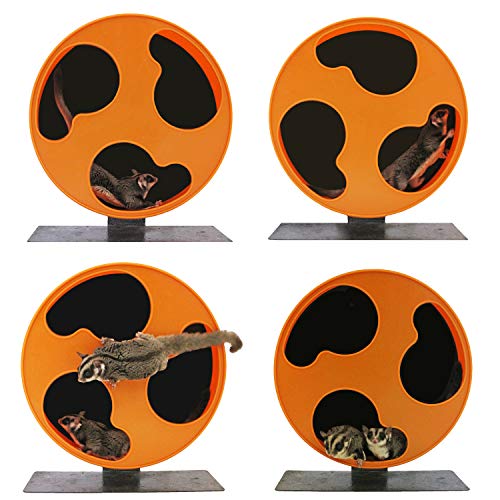  Silent Runner 12" With Autoclean | Sugar Glider Wheel